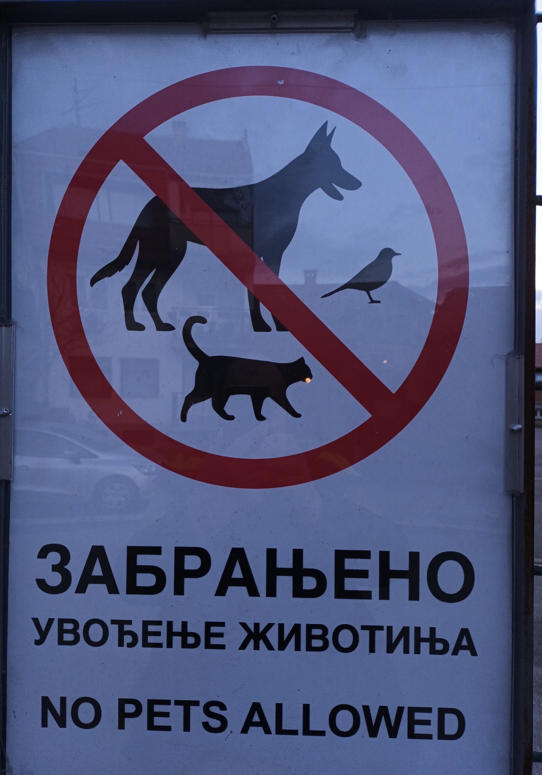 Ne šetajte tuda sa svojim vrapcem